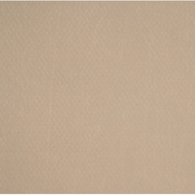 Allure Fabric