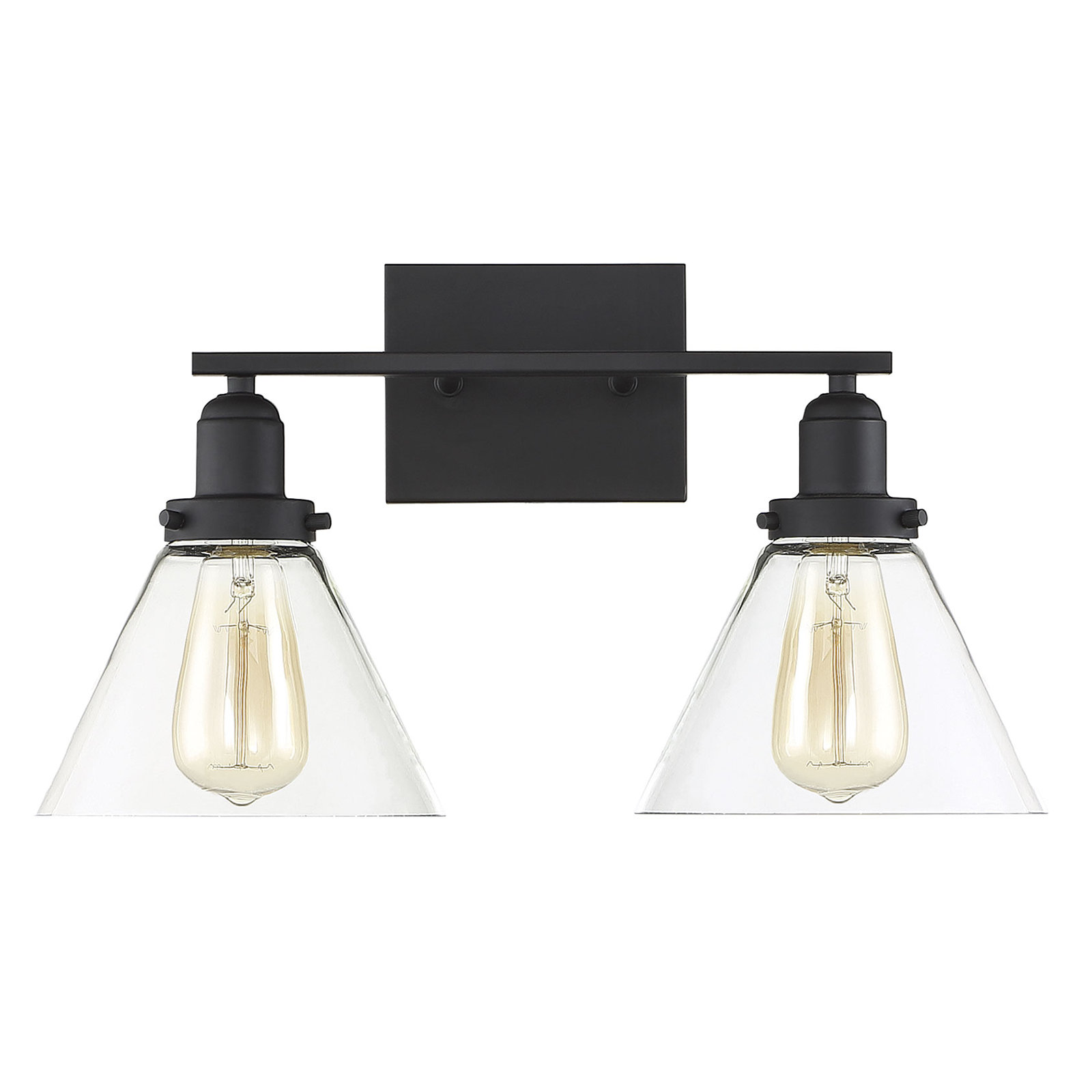 Catalina 2 Light Transparent Dimmable Bath Sconce, Black