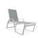 Holna Outdoor Rust-Resistant Metal Chaise Lounge