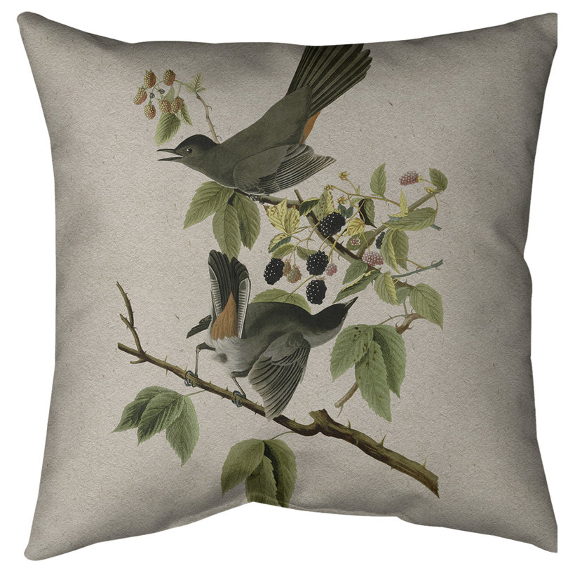 Housse de coussin en fausse oiseau pour chat, 14 po x 14 po, Gris