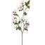 North American Dogwood Spray 40" 