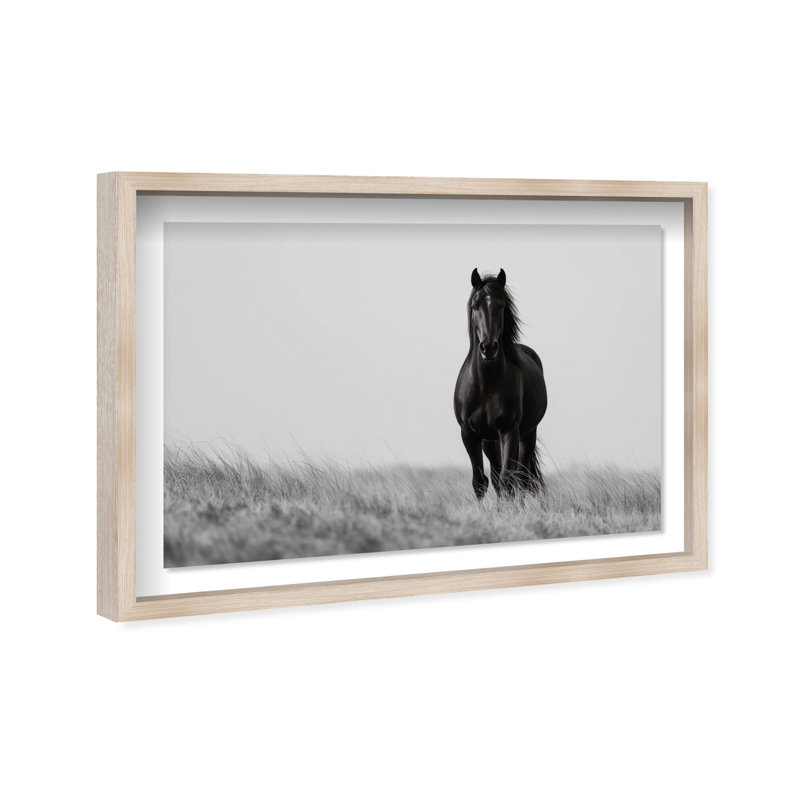 Lone Stallion I Print by Oliver Gal, 37.5" H x 55.5" W, Natural Oak Shadowbox