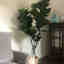 Photos des clients 1 de 1
