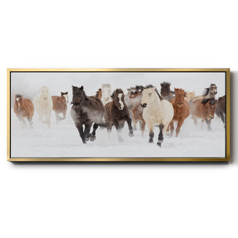 Pasture Run - toile encadrée, H 24 po x l 60 po