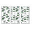 «Eucalyptus Branch On White I», ensemble de 3 impressions sur toile-673892409-673892405