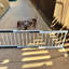 Barrière pour chien blanche en métal blanc - 13,3 po