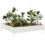 Caylub Metal Raised Garden Bed-1047241440-1047241444