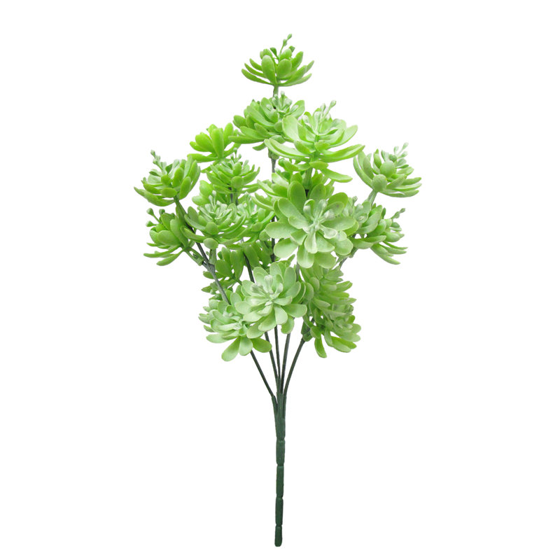 Plante grasse artificielle 12 po Lotus, Vert pâle givré