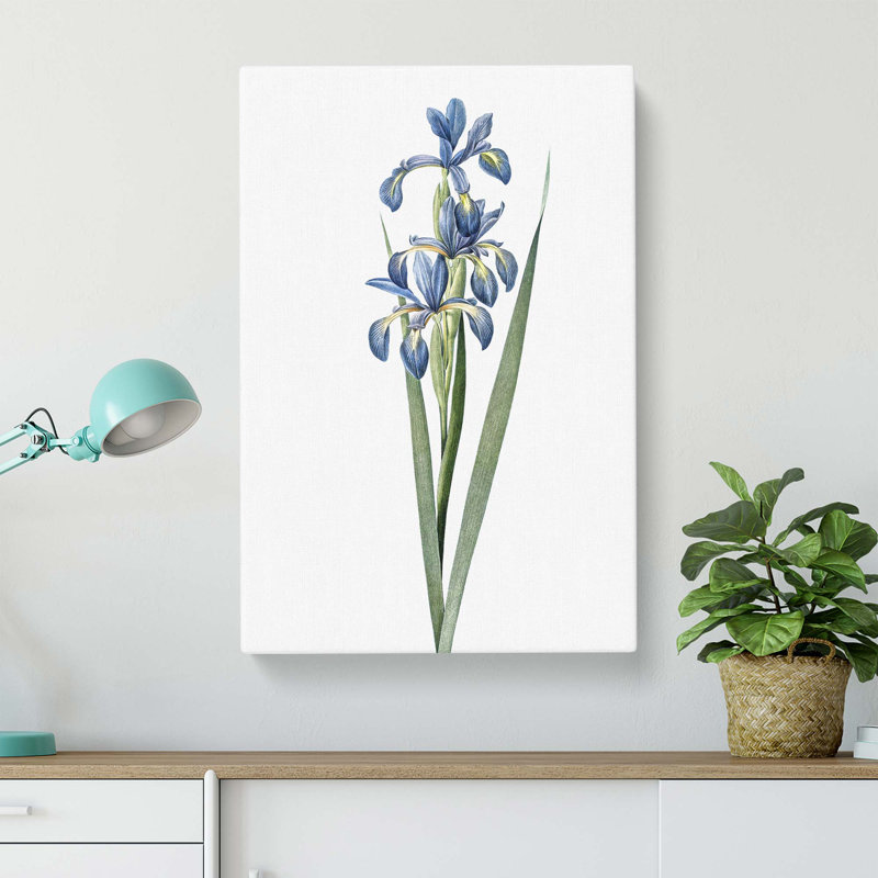 Blue Iris Flowers - Wrapped Canvas Painting, 76 cm H x 50 cm W