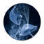 Jelly Fish Parade One Print-24074619