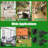 Humane Live Mouse Cage Easy To Catch And Release
