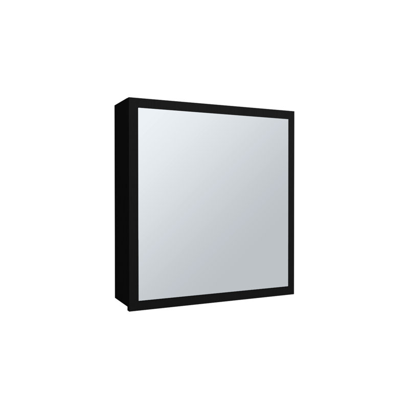 Armoire de salle de bain H 21,1 "x l 19,7" pour salle de bain et cuisine, noir, 4 tablettes et support à serviettes, Noir