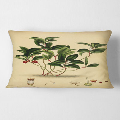Vintage Plant Life III - coussin traditionnel imprimé