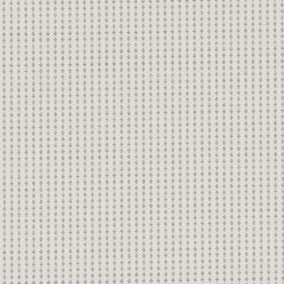 Tissu Sophisticated Suite II, Écru