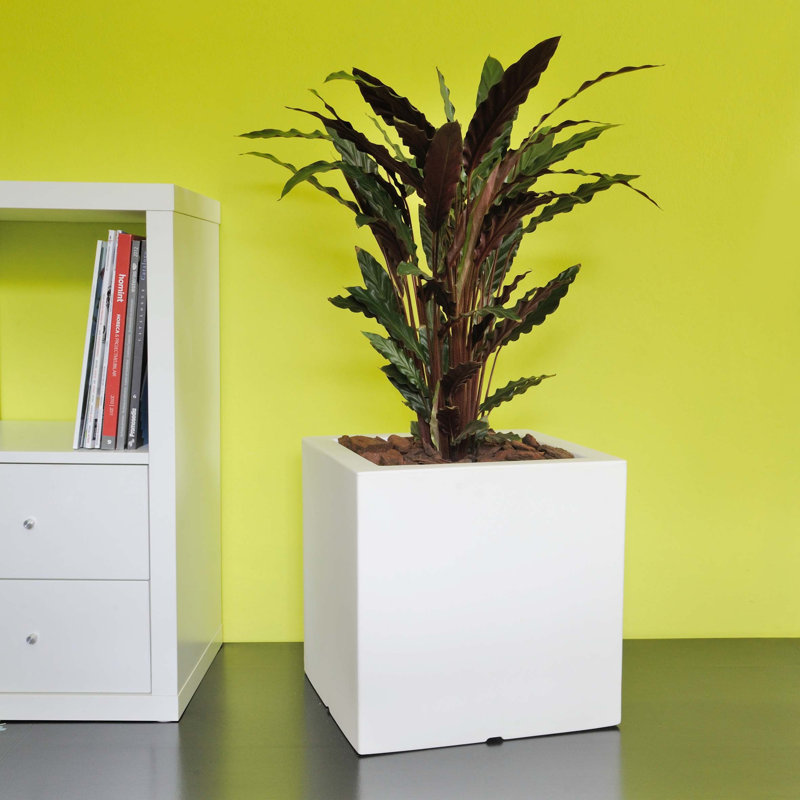 ATLANTIS Square Pot Single Wall, 50cm H x 50cm W x 50cm D, White