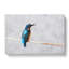 Kingfisher Bird Vol.2 - Wrapped Canvas-61839178