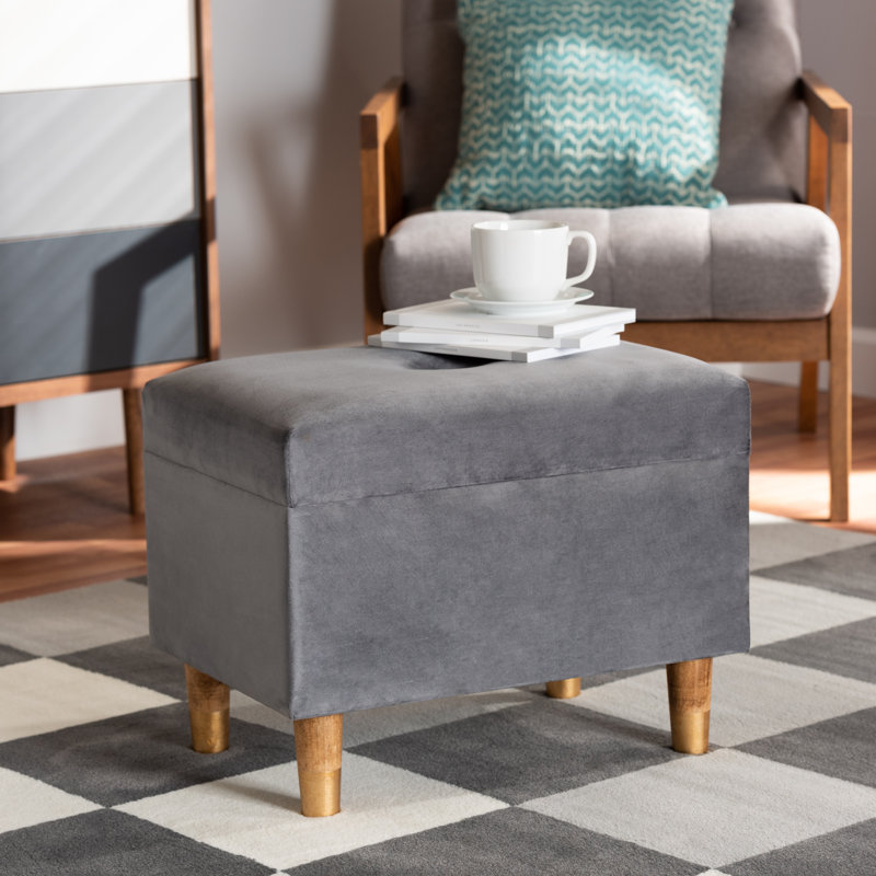 Repose-pieds avec rangement Fryar, Velours gris
