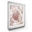 Intime Blush II - cadre photo, reproduction d'art sur papier-1539721608-1539721609