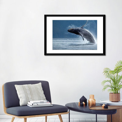 " Breaching Humpback Whale, Chatham Strait, Alaska, USA " by Paul Souders