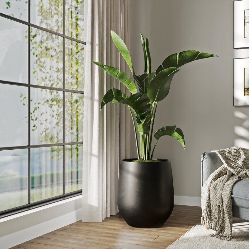 Signature Genthner 1-Piece Fiberstone Tapered Planter For Indoor/Outdoor, Black, 21.7" H x 20" W x 20" D