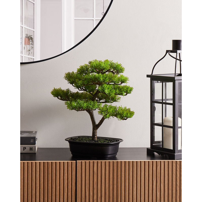 37cm Faux Bonsai Tree in Pot