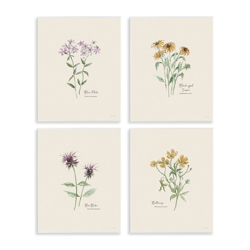  «Simple Wildflower Study» par Cindy Jacobs