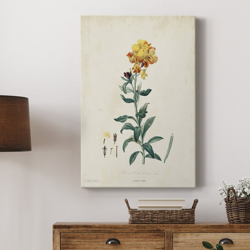 «Traditional Botanical III», impression sur toile tendue, H 60 po x l 40 po x P 1 po