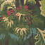 Barwick Floral Paper Wallpaper Roll-1146118272
