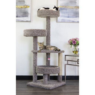Arbre à chat 54 "