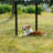 Multi-sized Metal Dog Exercise Pen Panels with 2 Doors-111046304-111046305