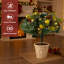 1.97' H Artificial Pine Christmas Tree