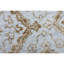 Oriental Area Rug-69928139