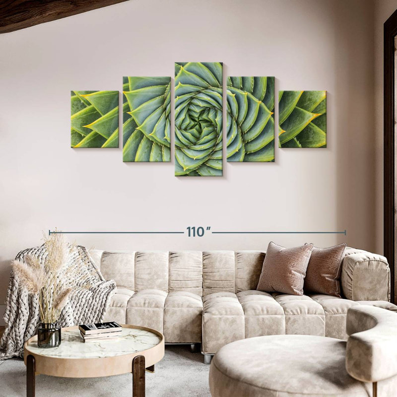 Plantes grasses en spirale, H 42 po x l 92 po
