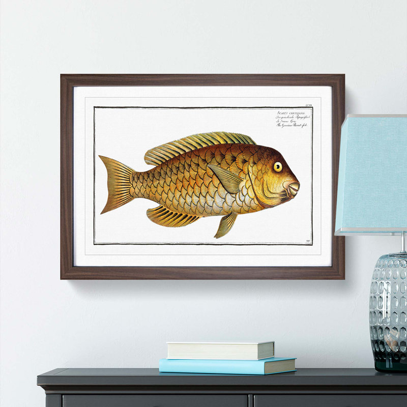 Grecian Parrot-Fish by M.E. Bloch - Picture Frame Painting Print, 48cm H x 65cm W x 2cm D, Walnut Framed
