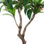 Plumeria artificiel en pot 57 po