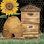 «Aleata Honey Bees & Flowers Veuillez sur fond noir» par Tara Reed
