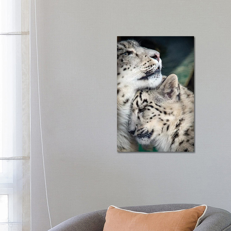 «Snow Leopard Mother and Cab» par Nik Rave - reproduction de photo sur toile tendue, H 26 po x l 18 po x 1,5 po
