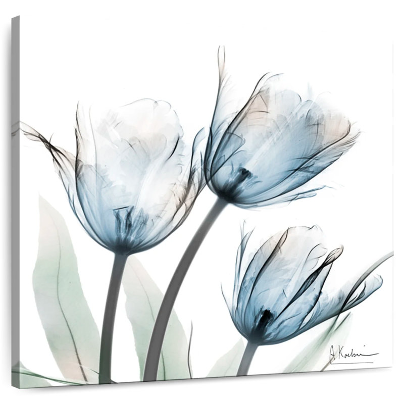 Arney Glacier Tulips I