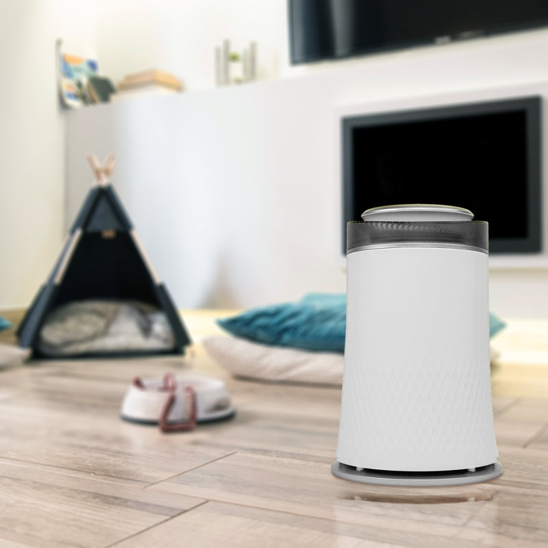 Purificateur d'air Abby Fresh Pet avec filtre HEPA