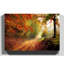 Fall Woodland Forest - Wrapped Canvas-19040227