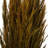 Zellmer 36'' H Preserved Plume Reed Bundle-1314829001