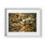Hazy In The Coconut Print by Joseph Regan-66910947-66910951