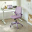 Fauteuil de bureau ergonomique et coloré 350LBS Home Office Mesh-134443043-134443047