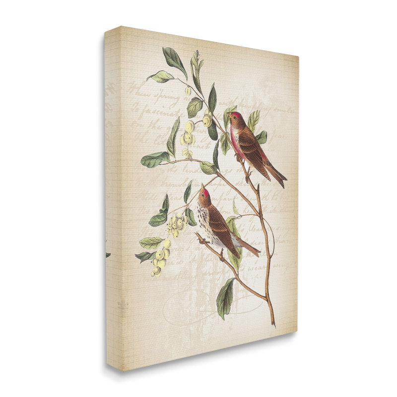 «Birds With Vintage Cursive Canvas», art mural par Lula Bijoux & Co., H 40 po x l 30 po
