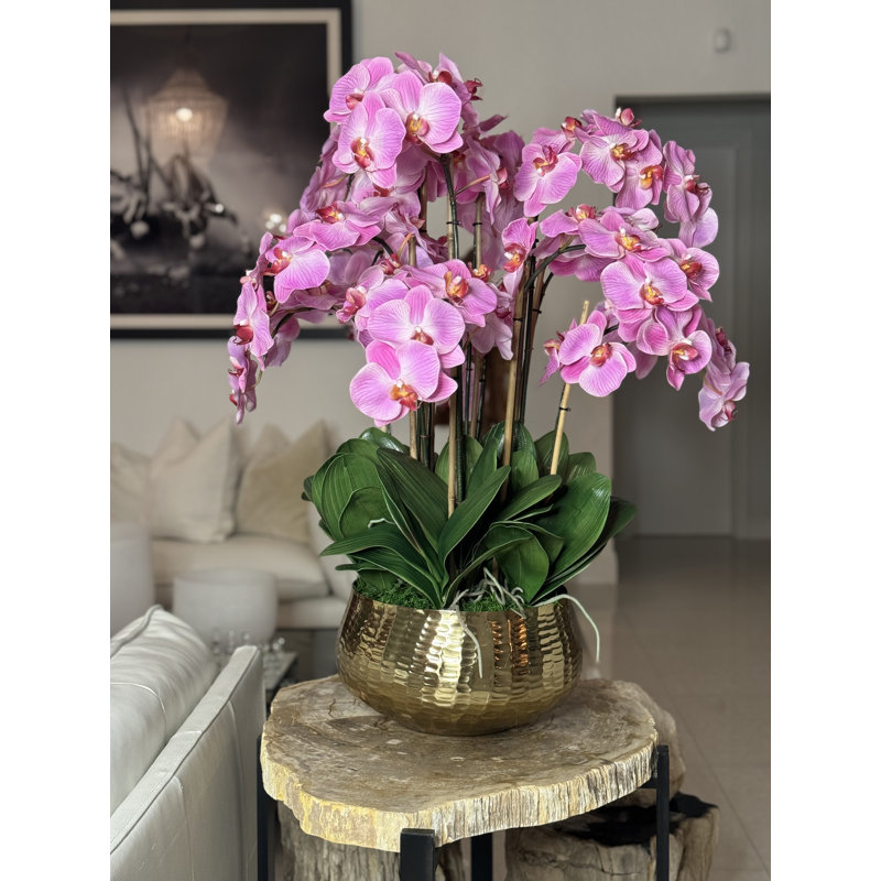 Roberi Orchid Arrangement in Planter, 28" H x 18" W x 18" D