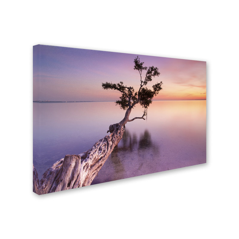 Moises Levy Sunset Tree Landscape Canvas Print