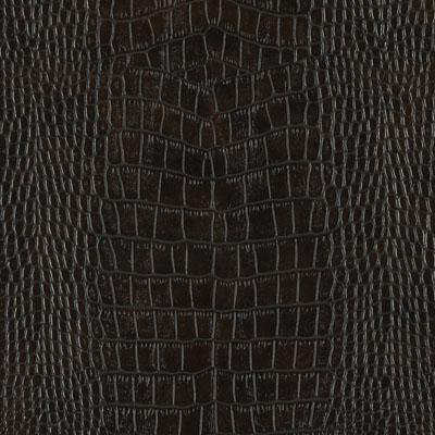 Contract Sheridan Fabric, Cocoa