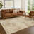 Machine Washable Indoor/Outdoor Chantille ACN2371 Abstract Rug-884489587
