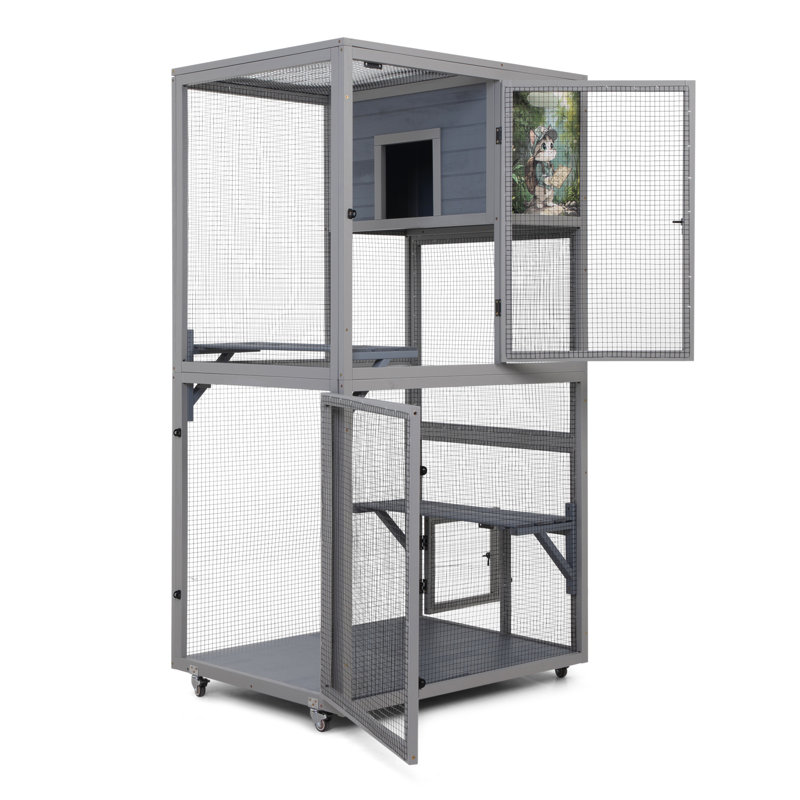 Enceinte d'extérieur pour chat Catio
