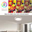 Flush Mount